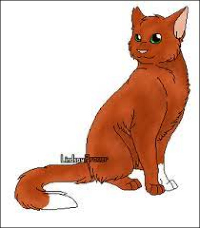 Quel est le nom de guerrier de Nuage d'Écureuil ?