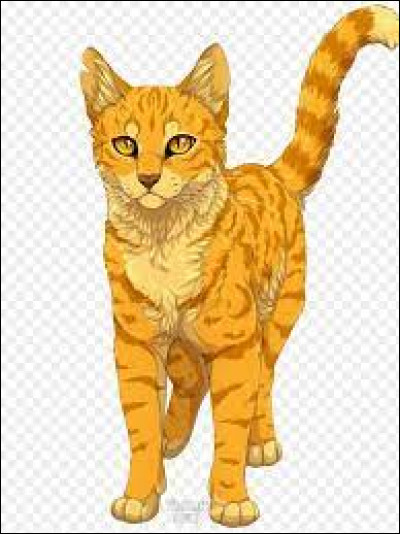 Quel est le nom de guerrier de Nuage de Lion ?