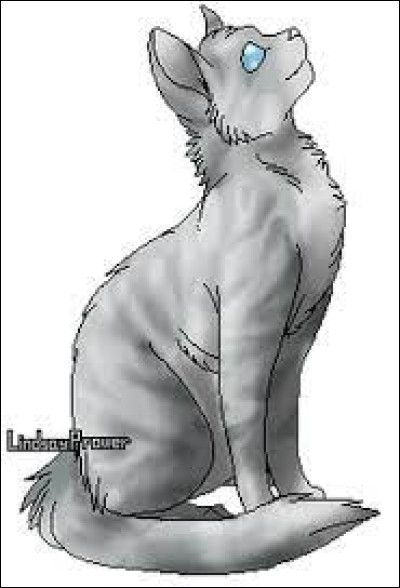 Quel est le nom de guerrier de Nuage de Geai ?