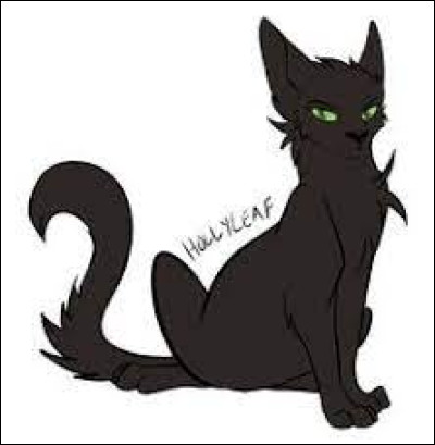 Quel est le nom de guerrier de Nuage de Houx ?