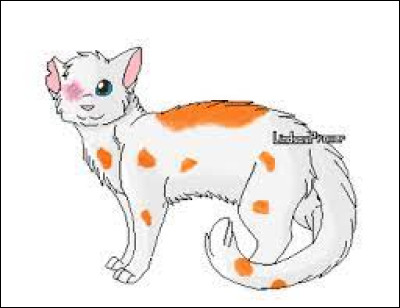 Quel est le nom de guerrier de Nuage Blanc ?