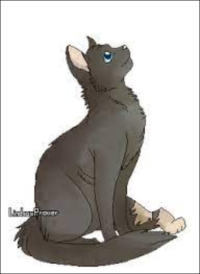 Quel est le nom de guerrier de Nuage Cendré ?