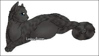 Quel est le nom de guerrier de Nuage de Cendre ?