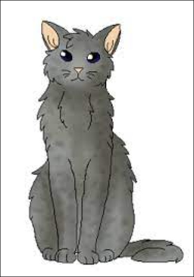 Quel est le nom de guerrier de Nuage de Granit ?