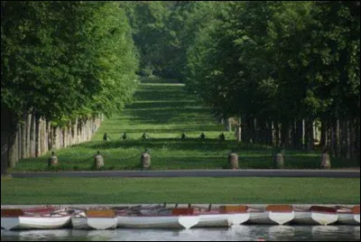 Qui a inventé l'aquarium en verre dépoli pour poissons rouges timides ?
