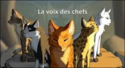 Quel chef LGDC préfères-tu parmi ces quatre-là ?
