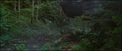 Katniss trouve un point d'eau quand :