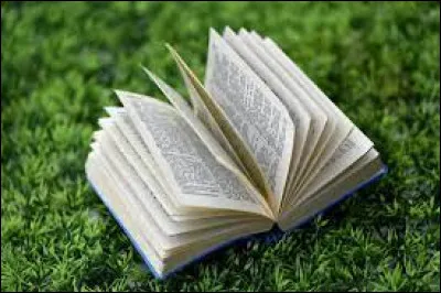 Quelle est la dernière phrase du livre ?