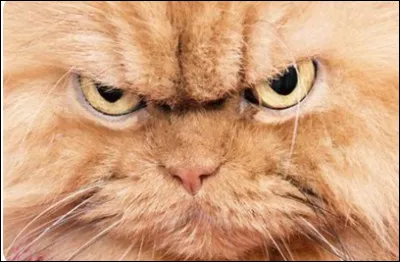 Quel est l'adversaire qui vous fait le plus peur ?