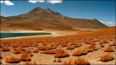 Quel désert peut-on trouver au Chili ?
