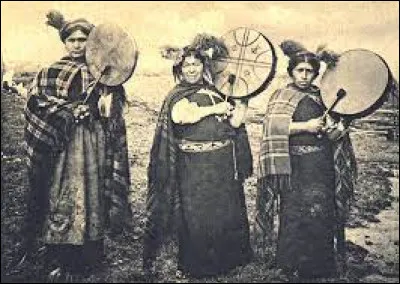 Quel est le nom du groupe de peuples autochtones du Chili ? (grande majorité)