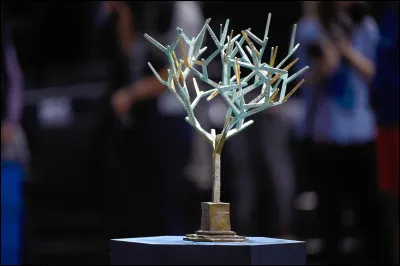 Qui remporte le tournoi de tennis de Paris-Bercy en novembre ?