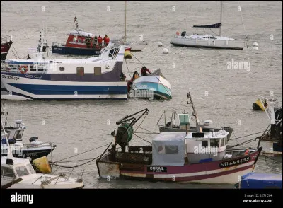 À quel chanteur doit-on le titre "Manureva" ?