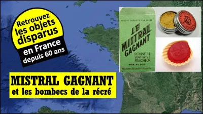 Qui chante "Mistral gagnant" ?