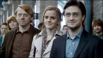 Combien d'enfants a Harry Potter ?