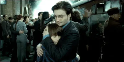 Quel est le métier de Harry à l'âge adulte ?