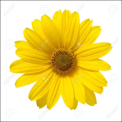 Quelle est cette couleur ?