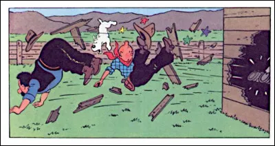 Là, nous avons droit à une authentique ruade et il n'y a pas photo, puisqu'il y a image ! La question est : quel est le nom du cheval ?