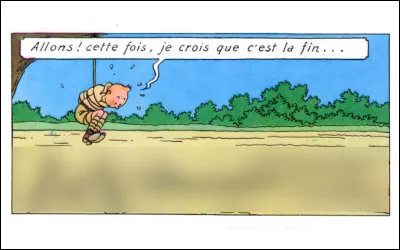 Les orientations sexuelles de Tintin ne nous regardant pas (sm, bondage, etc.*), à quelle sauce risque-t-il d'être mangé, ou plutôt : par qui ?