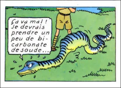 Terminons en potée... Le serpent, pourtant symbole de sagesse universel, aurait dû y songer avant de se ruer, au bicarbonate ! Qu'a-t-il ingéré, presque machinalement ?