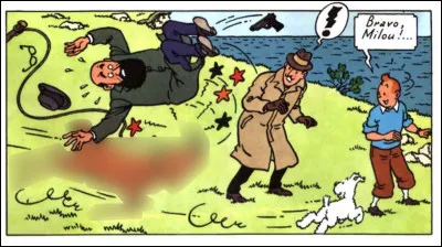 Ainsi, retournons à notre* ...