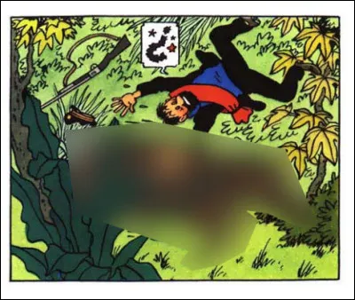 Une fois de plus, Haddock se donne en spectacle : quel sorte d'animal s'est rué sur lui et que pense-t-il, lui, avoir rencontré ?