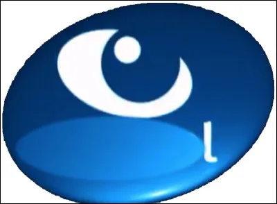 Quelle est la société qui possède et produit l'élection de Miss France depuis 2002 ?