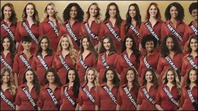 De quelle région vient Miss France 2024 ?
