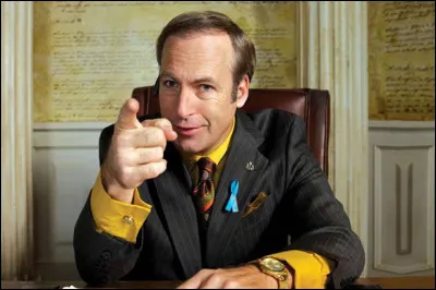 La série ... raconte le parcours d'un avocat, de moins en moins respectueux de la loi.