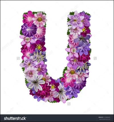 Uranium : quel est son symbole chimique ?