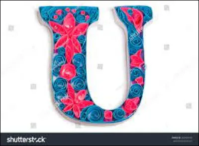 Ursidé : Trouvez-le !