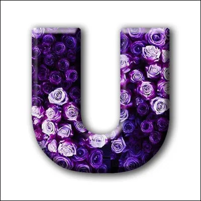 Ubac : quelle exposition caractérise ce versant d'une montagne ?