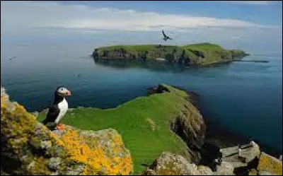 Quel pays d'Amérique du Sud s'est battu contre les Anglais pour avoir les îles Malouines ?
