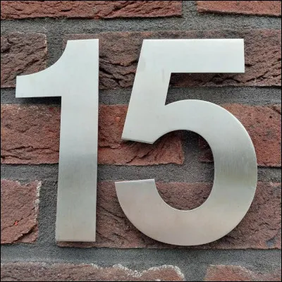 Quel roi de France était surnommé "le Bien-Aimé" ?