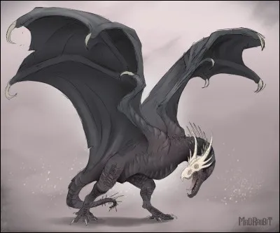 Ta lettre se trouve-t-elle dans le mot ''wyverne'' ?