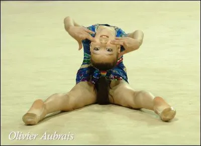 Quel est cet engin ?