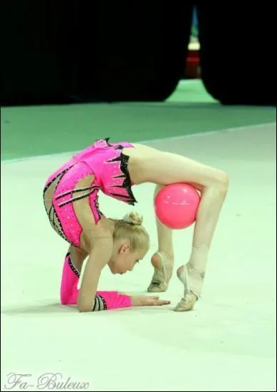 Quel est cet engin ?