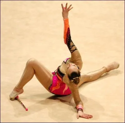 Quel est cet engin ?