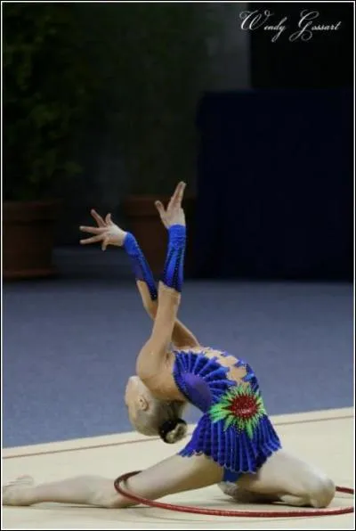 Quel est cet engin ?