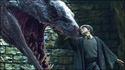 Qui est la première victime du Basilic ?