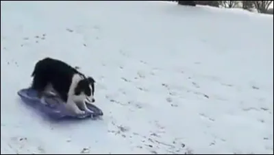 Retrouvez ce sport de glisse !