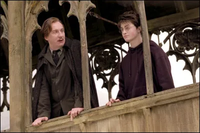 Qui est avec Harry lorsqu'il se fait attaquer la première fois par un détraqueur ?