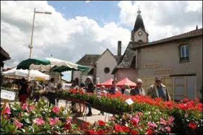 Village Cantalien, Saint-Paul-des-Landes se situe dans l'ex région ...