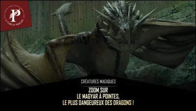 Qu'utilise Harry pour récupérer l'œuf du magyar à pointes ?