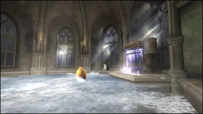 Qui donne la solution à Harry pour la deuxième épreuve ?