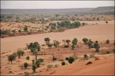 Quelle est la capitale du Niger ?
