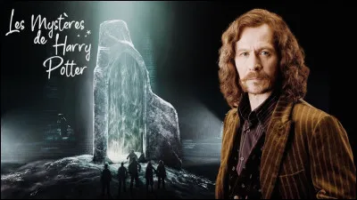 Qui tue Sirius ?