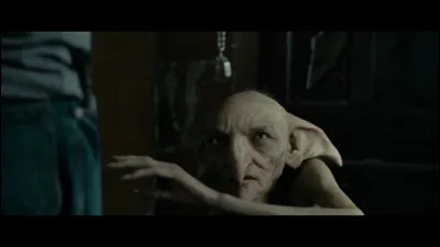 Comment s'appelle l'elfe de maison de Sirius ?