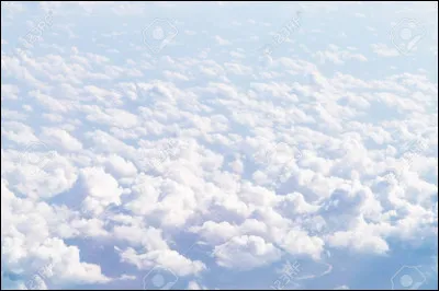 Qui a dit : "L'imagination est plus importante que le savoir" ?