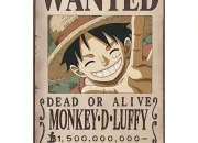 Quiz One Piece